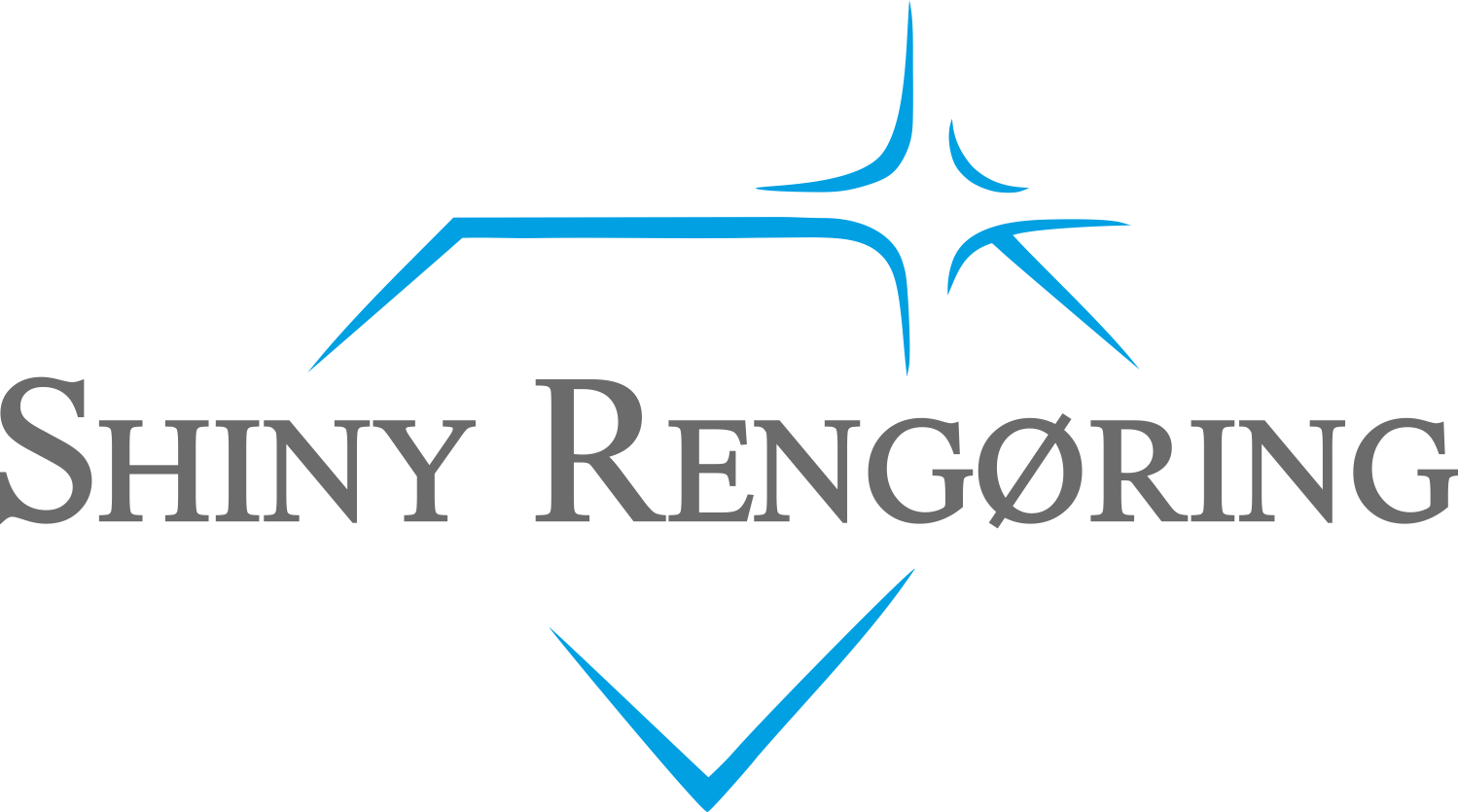 shiny rengoring denmark logo